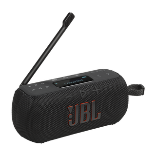 Image of JBL Tuner 3